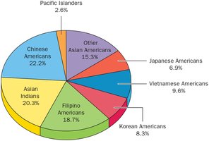 Pie chart of Asian Pacific American groups by percentage