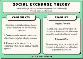 Social Exchange Theory components and examples