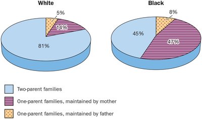 Single Parent Families by Race