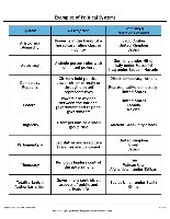 Examples of Political Systems
