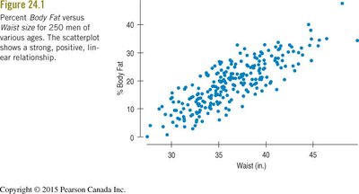 Scatterplot of % Body Fat vs Waist size