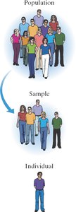 Diagram showing population, sample, and individual