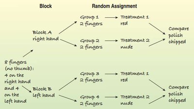 Diagram of a blocked experiment with random assignment and treatment comparison