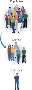 Population, Sample, Individual diagram