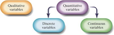 Classification of variables diagram