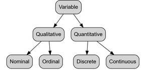 Variable classification diagram