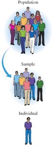 Population, Sample, Individual diagram