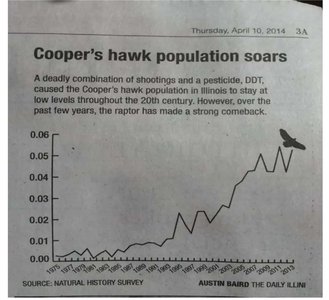 Line graph of hawk population with exaggerated y-axis
