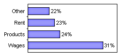 Company Expenditure Bar Graph