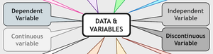 Types of variables diagram