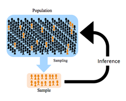 Population and sample relationship