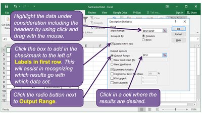 Selecting input and output range for descriptive statistics in Excel