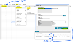 StatCrunch sample standard deviation calculation
