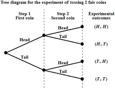 Tree diagram for tossing 2 fair coins