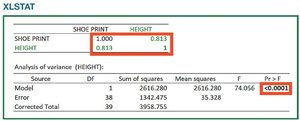 XLSTAT output showing correlation coefficient and P-value