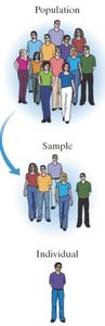 Population, Sample, Individual illustration