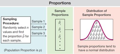 Sampling procedure and distribution of sample proportions
