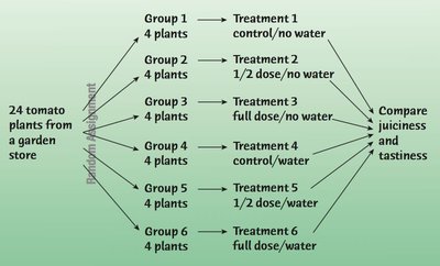 Diagram of experiment with multiple factors (fertilizer and water)