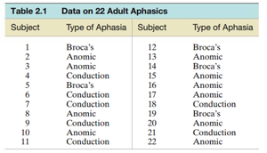 Table of aphasia types for 22 subjects
