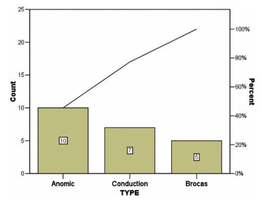 Bar graph and pie chart for aphasia types