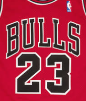 Jersey with number 23 (categorical data)
