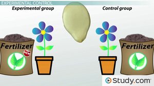 Experimental and control group illustration with fertilizer and plants