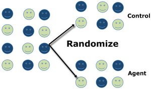 Random assignment to control and agent groups