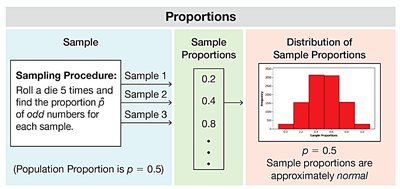 Diagram showing sample proportions from die rolls