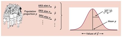 Diagram of sampling distribution for sample proportions