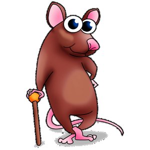 Subjects example rat