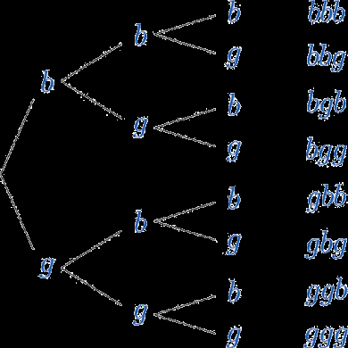 Tree diagram for three births showing all possible gender sequences