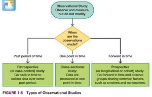 Types of Observational Studies