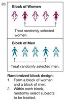 Randomized Block Design