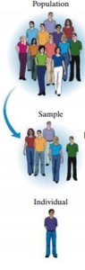 Diagram showing population, sample, and individual