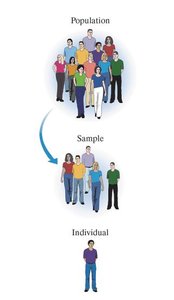Population, Sample, Individual diagram