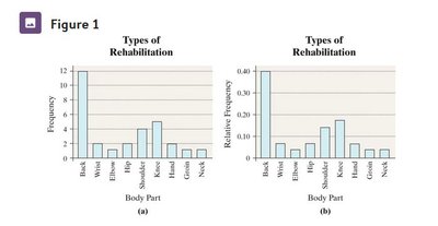Frequency and relative frequency bar charts for types of rehabilitation