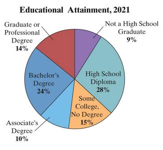 Relative frequency histogram for fines in New York City