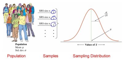 Population, samples, and sampling distribution