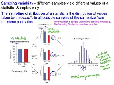 Sampling variability and sampling distribution