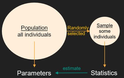 Population, sample, parameters, and statistics