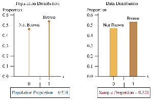 Population vs. sample distribution for candidate preference