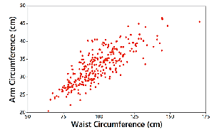 Scatterplot showing correlation between waist and arm circumference