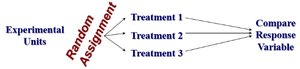 Diagram of completely randomized design