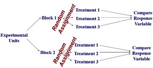 Diagram of block design