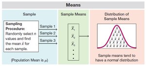 Sampling procedure and distribution of sample means