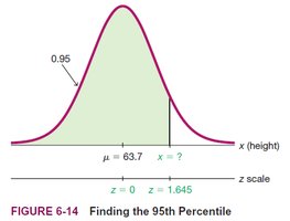 Finding the 95th Percentile