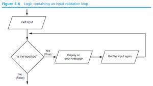 Logic containing an input validation loop