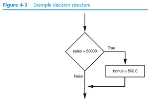 Example decision structure flowchart