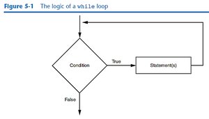 The logic of a while loop