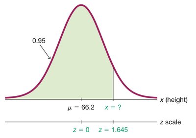 Normal distribution showing shortest 95% of adults for door design